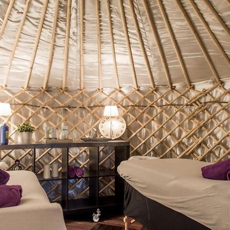 Yurtlife Bed & Breakfast Zaandam Ngoại thất bức ảnh