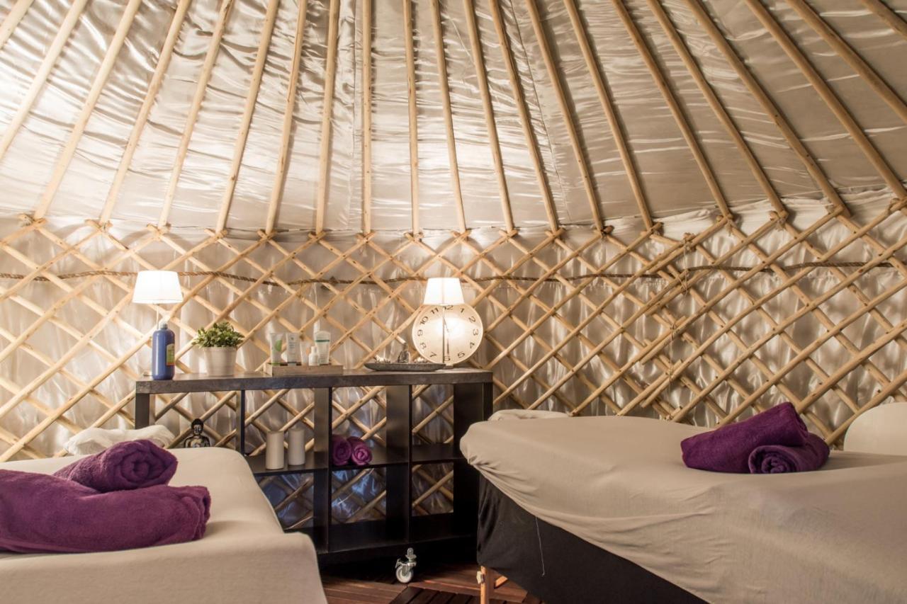 Yurtlife Bed & Breakfast Zaandam Ngoại thất bức ảnh